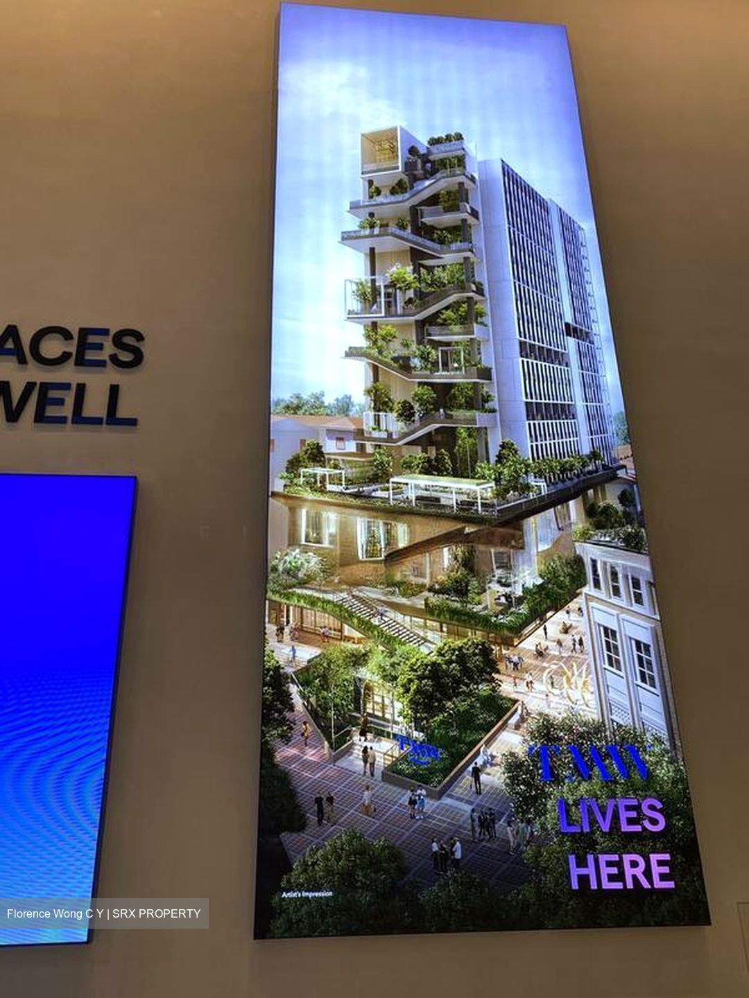 Tmw Maxwell (D2), Apartment #497839791